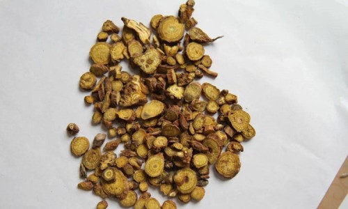 权威同仁堂黄芪霜的作用与功效平台,分享专业同仁堂枣仁安神口服液的功效与作用知识_同仁堂右归丸的功效和作用网